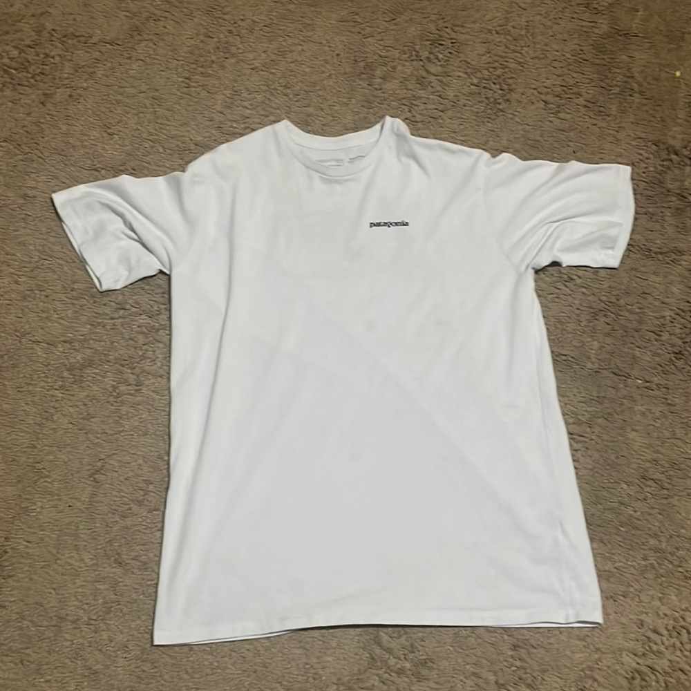 Patagonia tee